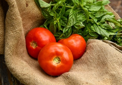 Food Processing